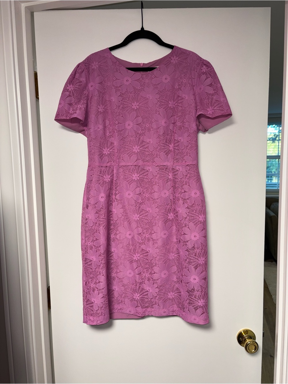 Rachel Parcell Pink Floral Lace Short Sleeve Dress